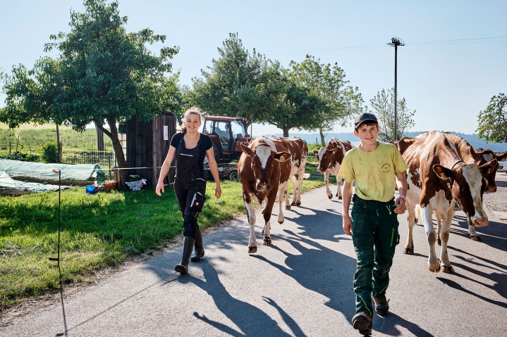 Landwirtschaft & Rebbau